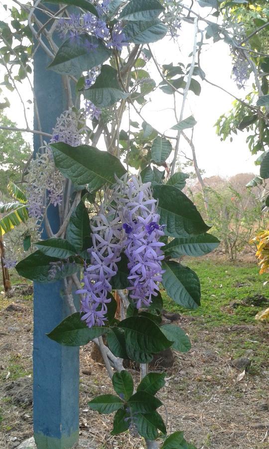 Mérida Finca Montana Sagrada المظهر الخارجي الصورة